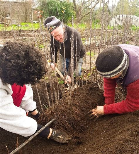 Ethereum: How does Rootstock (RSK) work? [closed]
