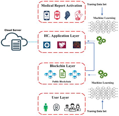 Machine Learning Applications in Identifying Blockchain Fraud
