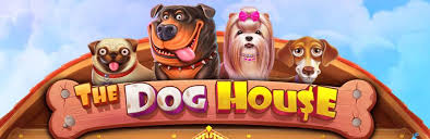 Recensione di The Dog House Recensione di The Dog House