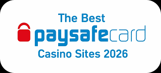 Online Casino Paysafe Sikkerhed og Bekvemmelighed i Spilverdenen 333507410