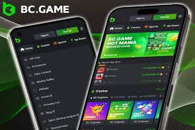 Exploring BC.Game Crypto Casino A New Era of Online Gaming in Pakistan